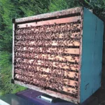 Naturreiner Imkerhonig – 500g - Image 6