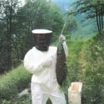 Naturreiner Imkerhonig – 500g - Image 7