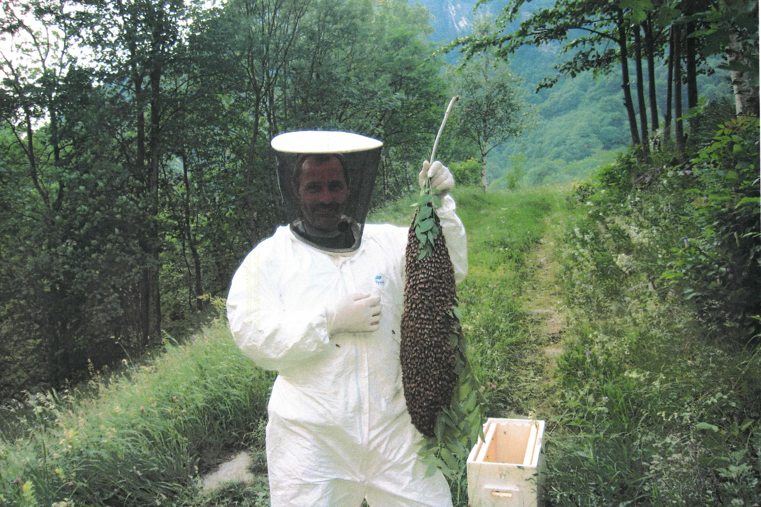 Imker in einem Schutzanzug mit Bienenstock für die Zubereitung von Honig in den Alpen, Schweiz