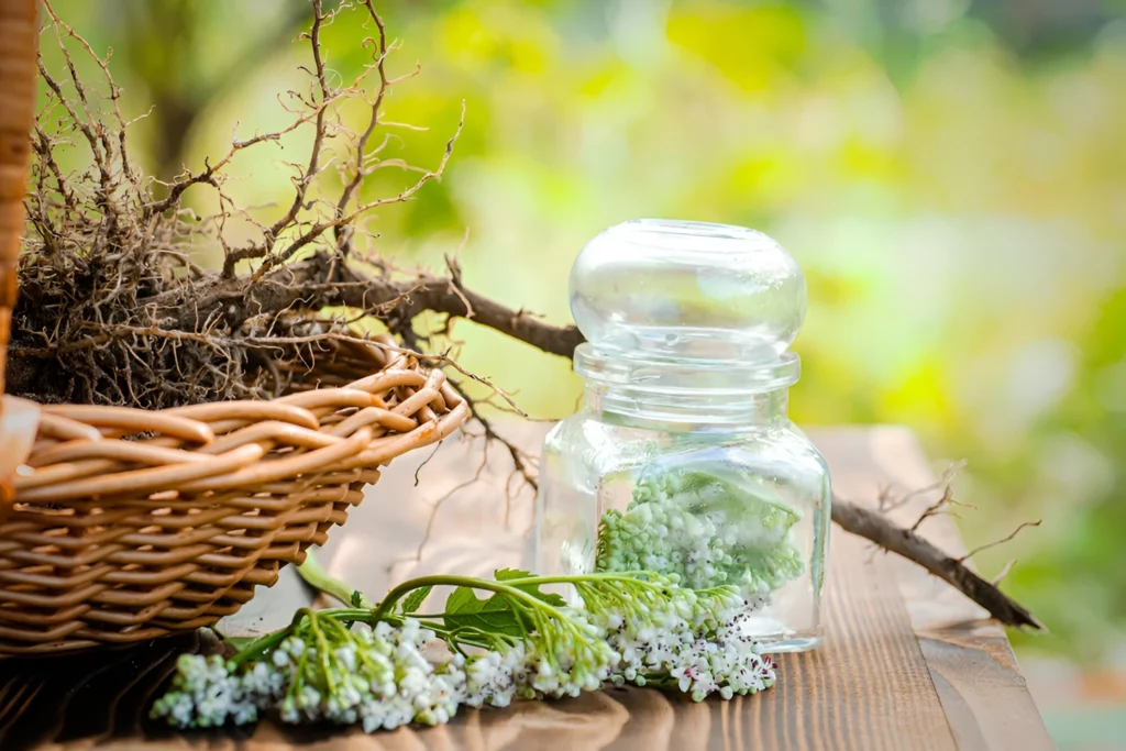 Baldrianwurzel, Rhizome und Baldrianblüten mit transparentem Glas